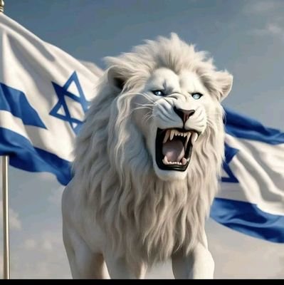 OndelCome's profile picture. 777