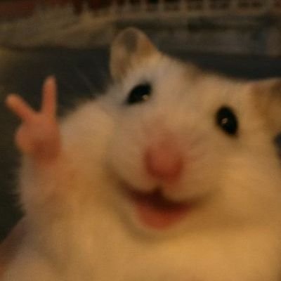 pjmcharmer's profile picture. Y mi frío corazón, ha olvidado cómo llamarte.