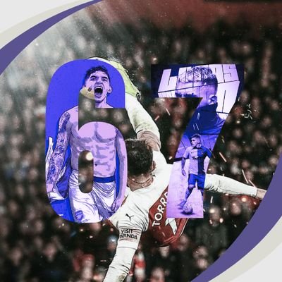 Matteo Violi Profile