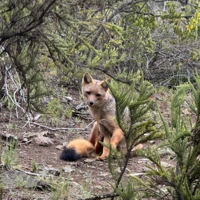 fzavalia1's profile picture. 