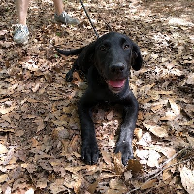 MaggieAC235354's profile picture. 