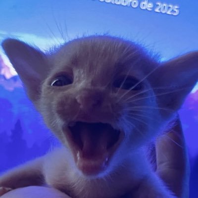 johnsilverioo's profile picture.