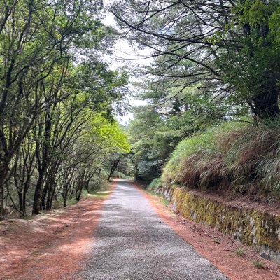 ReyTW113's profile picture. 155TW113 also BX4AFD, lived in Taichung City. A mechanical maintenance engineer 🛠️ in steel mill. Love fishing 🎣 , baseball ⚾️ and radio 📻.