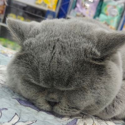 Lockkey4710's profile picture. 