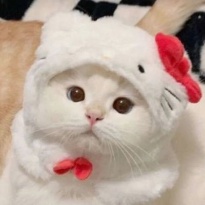 pawberrymelt's profile picture. 