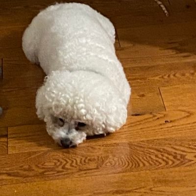 galderisi12's profile picture. Retired Public School Principal . Do away with DEPARTMENT OF EDUCATION !!!