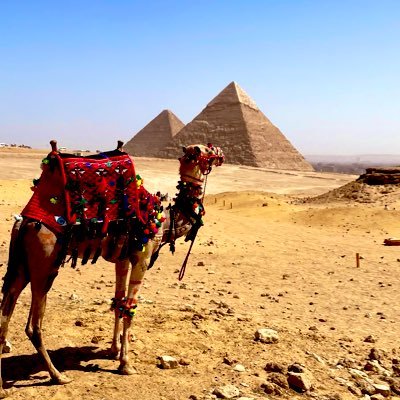 ちゃむ🌴初マタ32w🦕