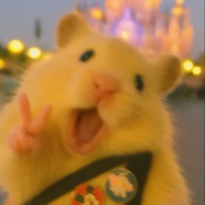 AnaMaCH13's profile picture. Lean lo que les apasione, será lo único que los ayudará a soportar la existencia. L&E. ✖️XII.