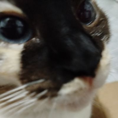 ssaoriuw's profile picture. 