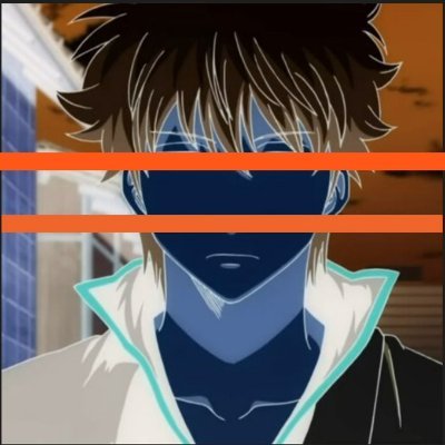 whereiszebra's profile picture. 