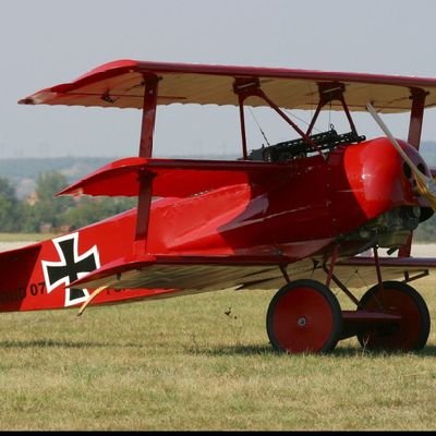 observer81989's profile picture. Just observing