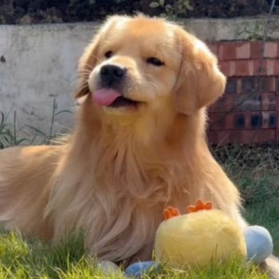 kkeokkeonono's profile picture. My happiness is ⟡ ˚ ₊ ꒰ა @maxky_rp @basjtr ໒꒱ ₊ ˚  ⋆˙Ⱉ˙⋆  #6CODE ยอดนักเบะɵ̷̥̥᷄᎔ɵ̷̥̥᷅