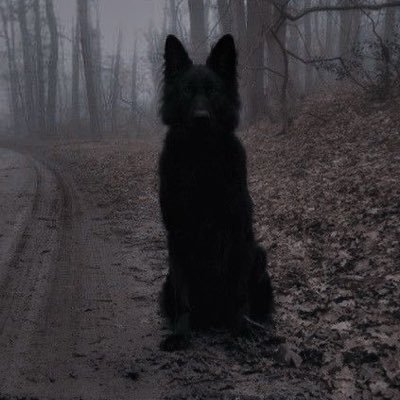 4TTACKD0G's profile picture. 21. NONHUMAN FREAK. DEAD DOVE. PRICK RACK. @B1TEH4ZARD’s HOUND & @letskillkiwi’s HANDLER. DM FEE FOR NON MUTUALS / NON BUYERS : $3