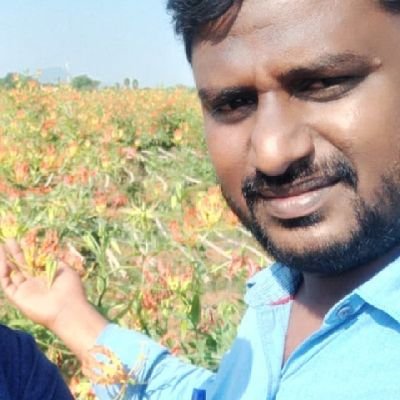 KuthoosSheik's profile picture. 