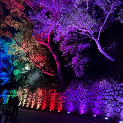 Bazumr55's profile picture. 