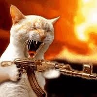 luissgermanr's profile picture. De la Refurinfunflay