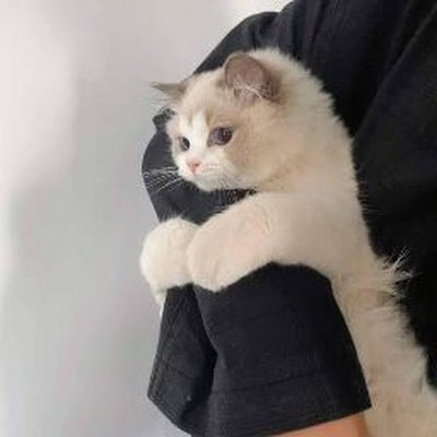 ilhamarchive's profile picture. Just to see the news.