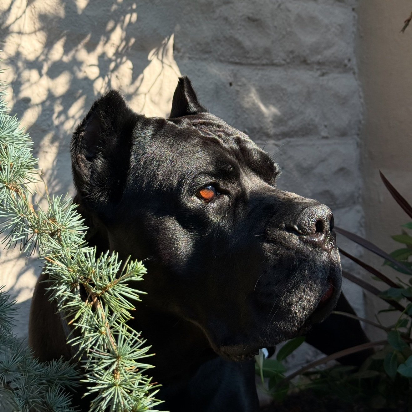 Hades6973's profile picture. 