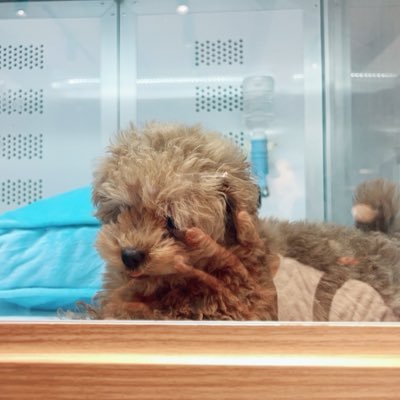 kumatta06's profile picture. 相手の不貞行為や大量のセフレがいることを知り精神を壊したアカウント。相手から離婚調停中