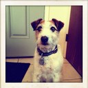 Scott Sorg - @Scott_Sorg - Twitter