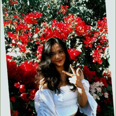 DomingoCas39526's profile picture. 