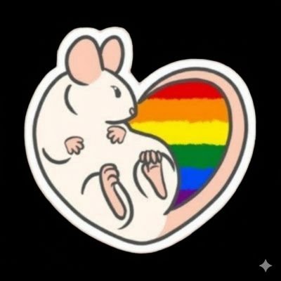 noophi_fb's profile picture. 