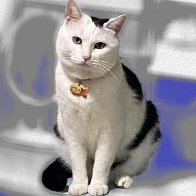 chnhn137586's profile picture. 2016年毕业只用三年时间开店11家。
2019年疫情来临支撑两年后闭店负债。
2021外贸创业清债积累资金。
如今wbe3继续，普通人的人生总是起落，加油！