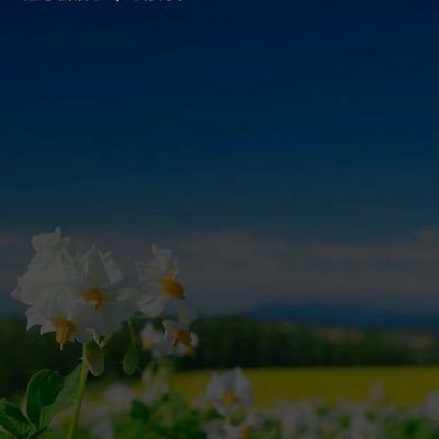 GuanJessic19170's profile picture. 