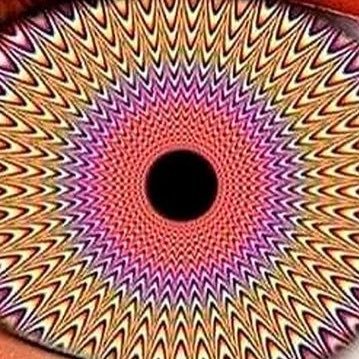 fermix's profile picture. unlike you.