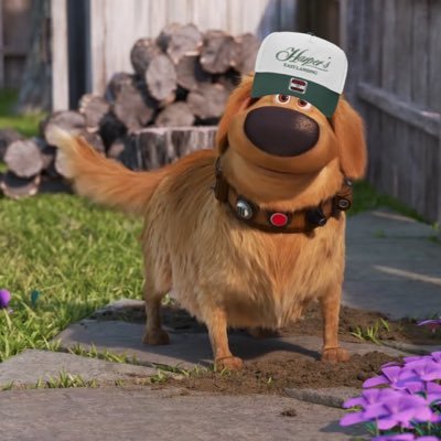 MSUDug's profile picture. im not even a burner