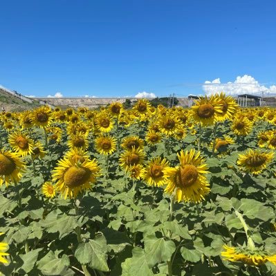 yxxxxaM's profile picture. 