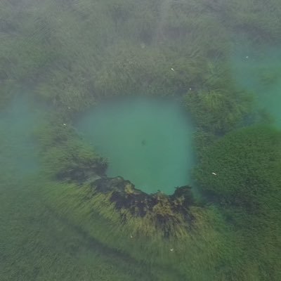 vanbraight's profile picture. just observing 🍿