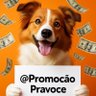 PromocaoPraVoce's profile picture. Selecionamos as melhores OFERTAS das maiores lojas pra você comprar no menor preço! (CLIQUE NO LINK para entrar no GRUPO) ⤵️ #BlackFriday Black Friday #Promo