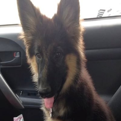 imakecoinn's profile picture. No Man Can Wear One Face To Himself And Another To The Multitude Without Finally Getting Bewildered As To Which May Be True.