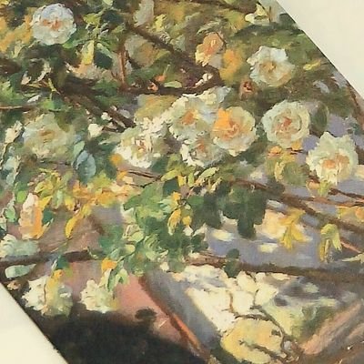 oilmaini's profile picture. 대학생_일상독서계| 초면 디엠, 멘션 괜찮아요🫶