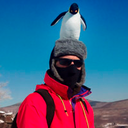 Gavin Shapiro - @GavinShapiro - Twitter