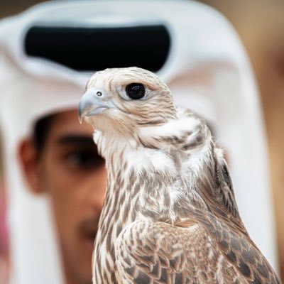 11Turke's profile picture. ﴿  وَلَسَوْفَ يُعْطِيكَ رَبُّكَ فَتَرْضَىٰ ﴾