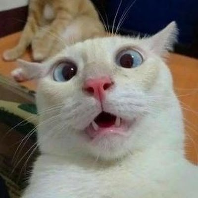 GntngR97682's profile picture.