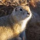 airdale52's profile picture. reposts ≠ endorsements

Reposter Boy for #thinking memes 
penetrating patter. Unabashedly 
old fashioned. Eclectic.Addicted to beauty
VSOP - probably TOO old 😎