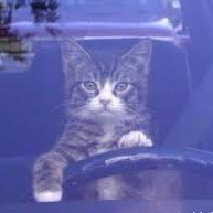 Хтивий сантехнік 🪘 (@santehnikhty) 's Twitter Profile Photo