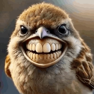 RepulseFNN's profile picture. 