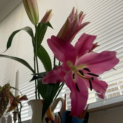 buniidoe's profile picture. makoto yuuki's