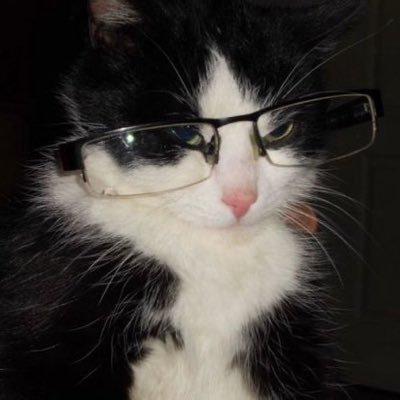 xooxygen_'s profile picture. 