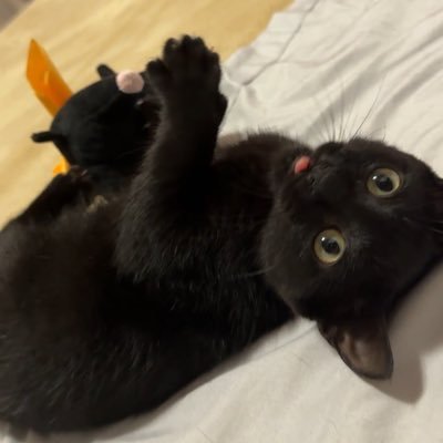 realkarajoo's profile picture. 😶😶