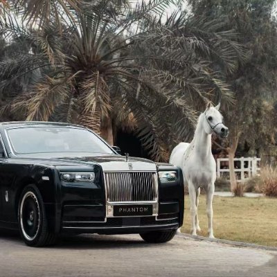 vten88's profile picture. 空投猎手 → 财富指引  空投黄金屋 | Airdrop Alpha