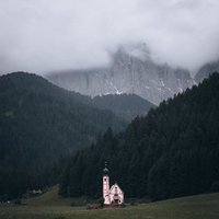 Djenis (@djenisali) 's Twitter Profile Photo