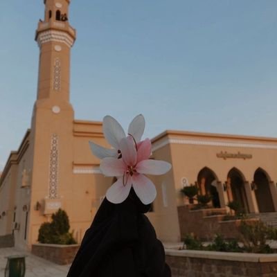 haniazor's profile picture. in my zone.