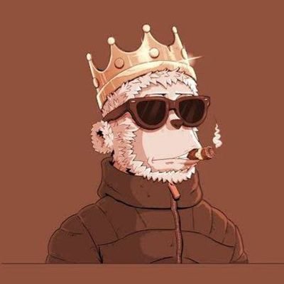 JidanMoham84809's profile picture. Web3 explorer | Kaito Certified Yapper | Early Alpha hunter 👀 | Building 🌸