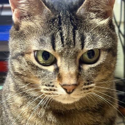 kazunorika60562's profile picture. 