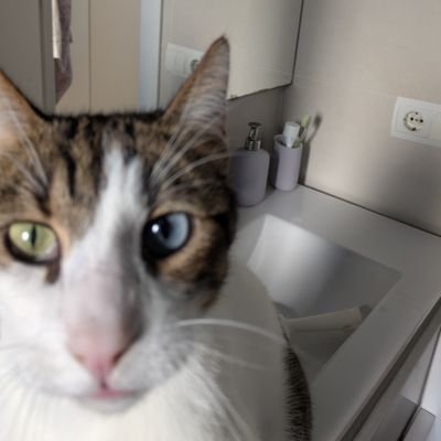 angelina414693's profile picture. siempre en mi corazón.Os amo!! P.D.   Odio el socialismo,el comunismo,el progresismo y el wokismo!!!VIVA VOX💚💚💚y viva España❤️❤️❤️